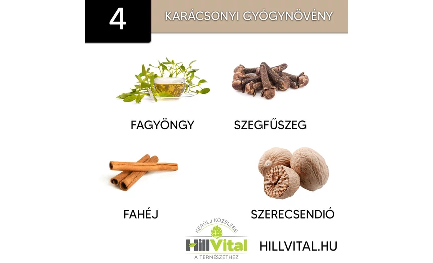 4 karácsonyi gyógynövény