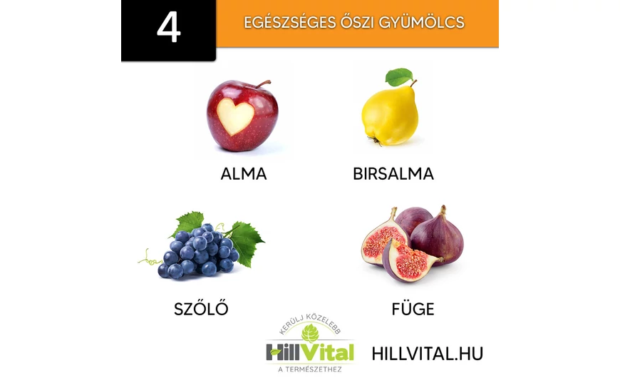 4 egészséges őszi gyümölcs