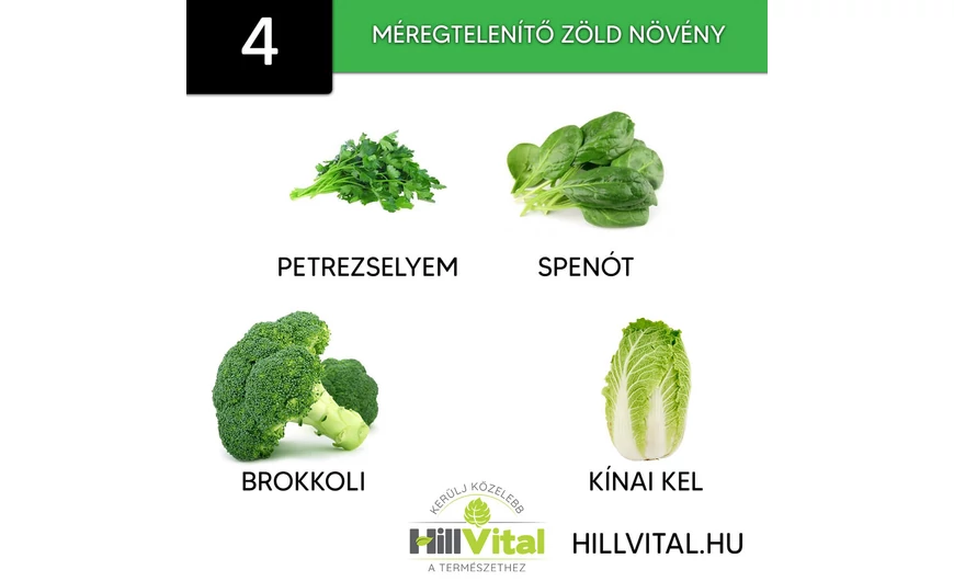 4 méregtelenítő zöld növény