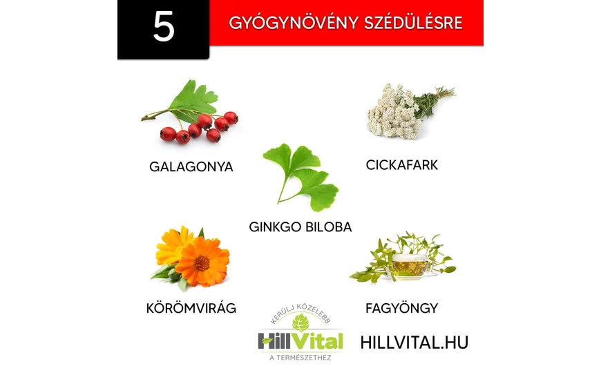 5 hatásos gyógynövény szédülésre
