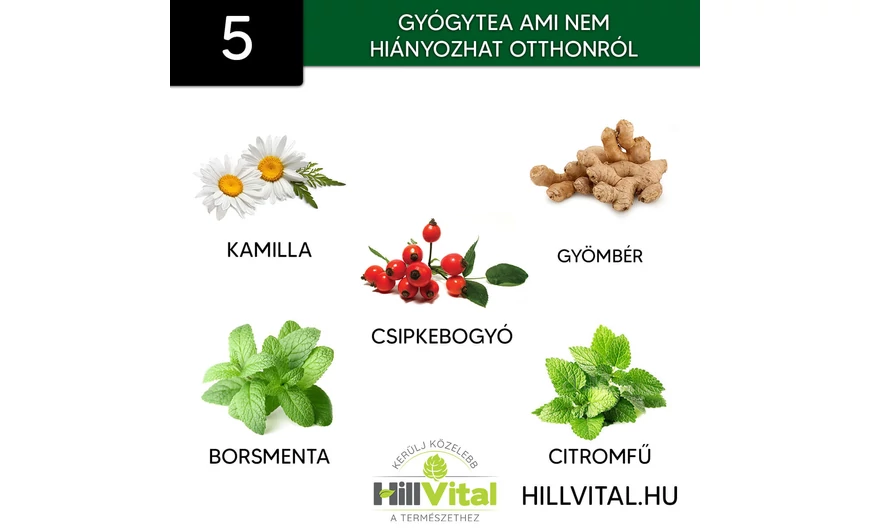 5 fontos gyógytea ami nem hiányozhat otthonról