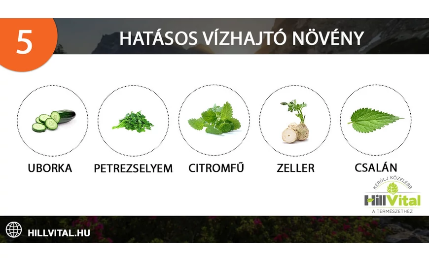 5 hatásos vízhajtó növény