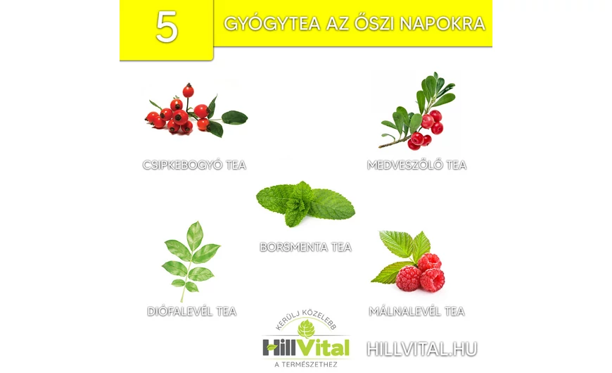 5 tényleg hatásos gyógytea az őszi napokra