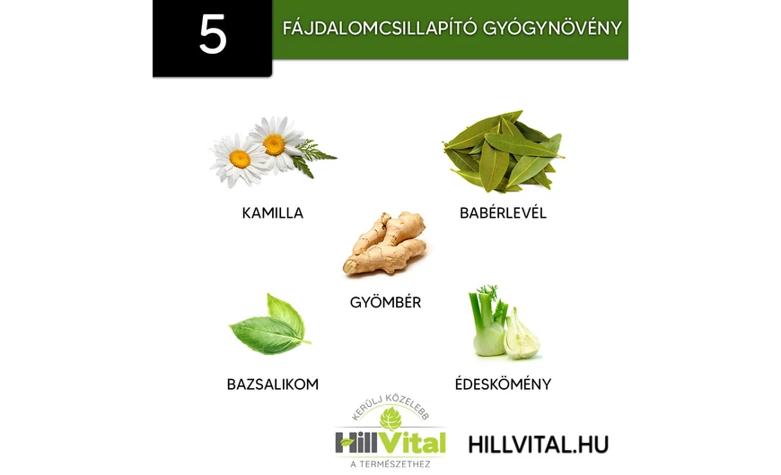 5 fájdalomcsillapító gyógynövény