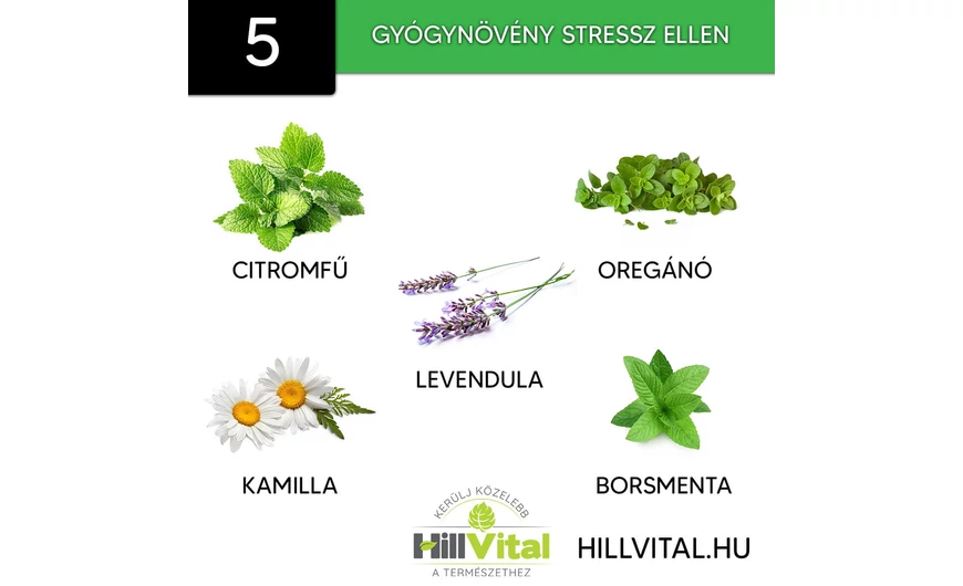 5 gyógynövény a stressz legyőzésére