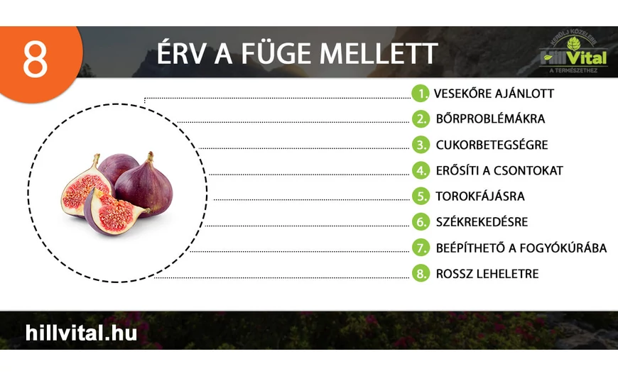 8 érv a füge fogyasztása mellett