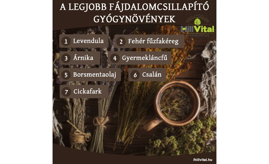 A legjobb fájdalomcsillapító gyógynövények