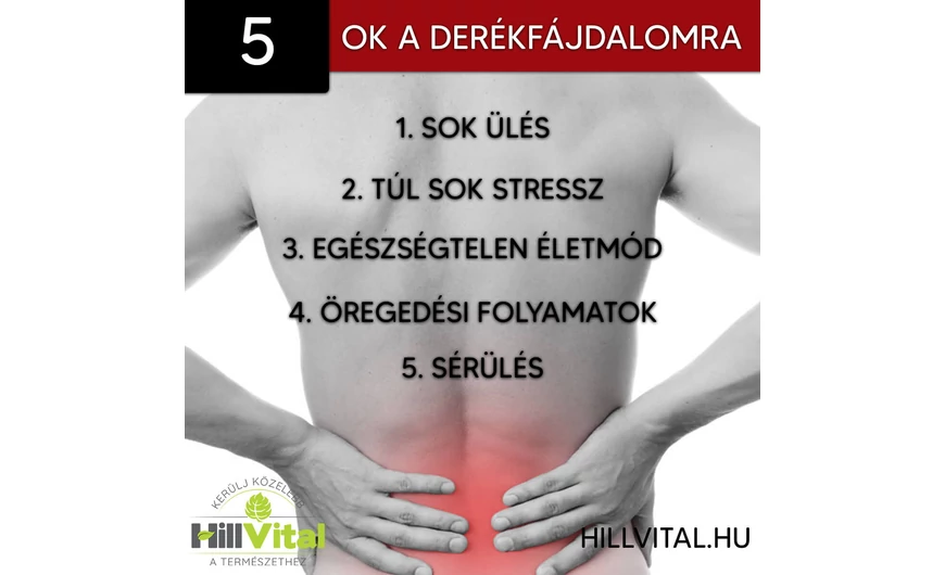 5 ok amelyek okozhatják a derékfájdalmat!