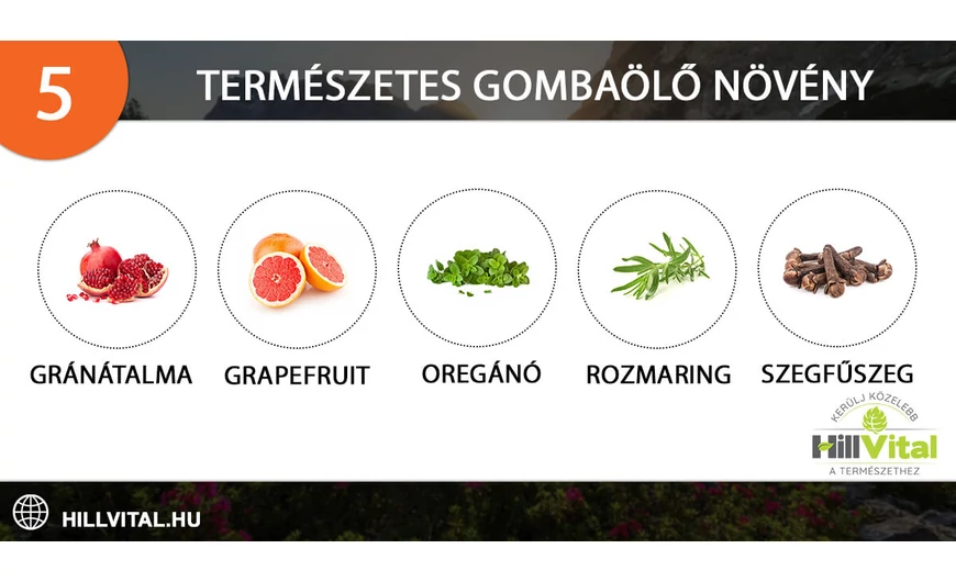 5 természetes gombaölő növény