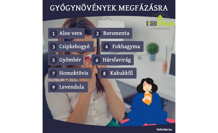 Gyógynövények megfázásra