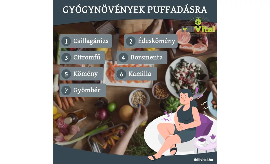 Gyógynövények puffadásra