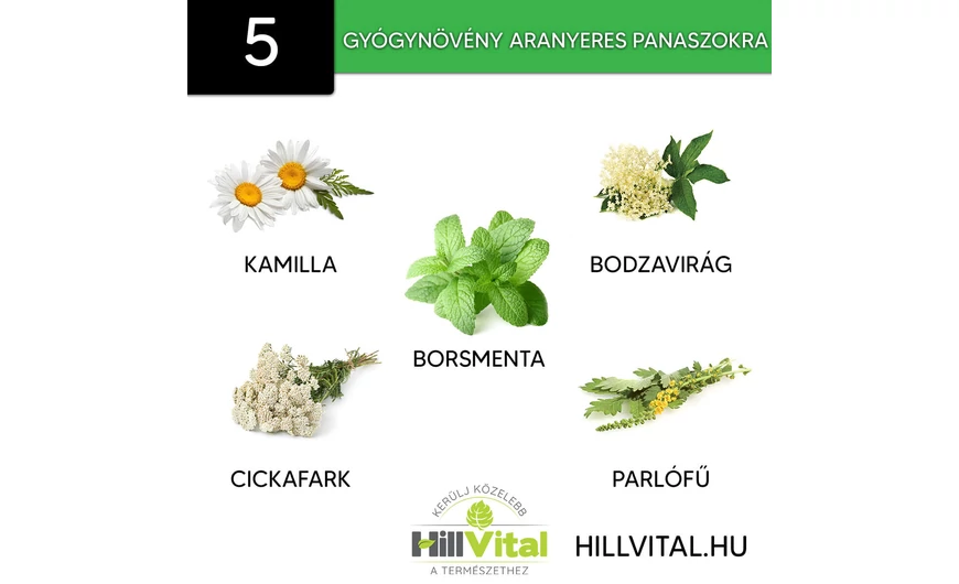 5 hatásos gyógynövény aranyeres panaszokra