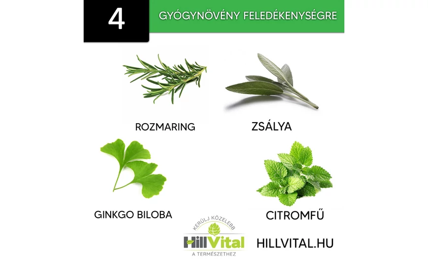 4 gyógynövény feledékenységre