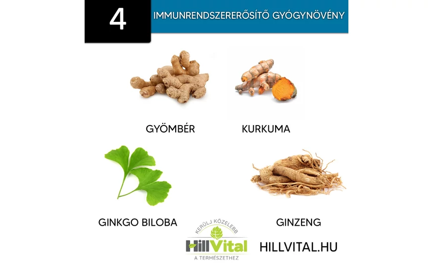 4 immunerősítő gyógynövény