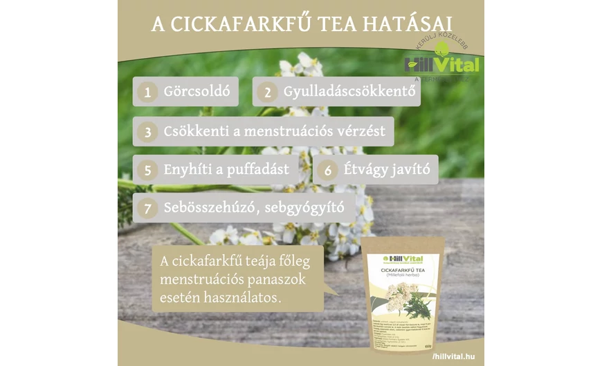 A cickafarkfű képes csökkenteni a menstruációs fájdalmat