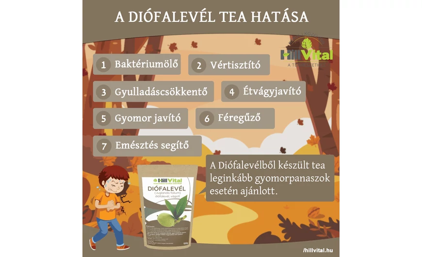 A diófalevél tea jótékony hatása