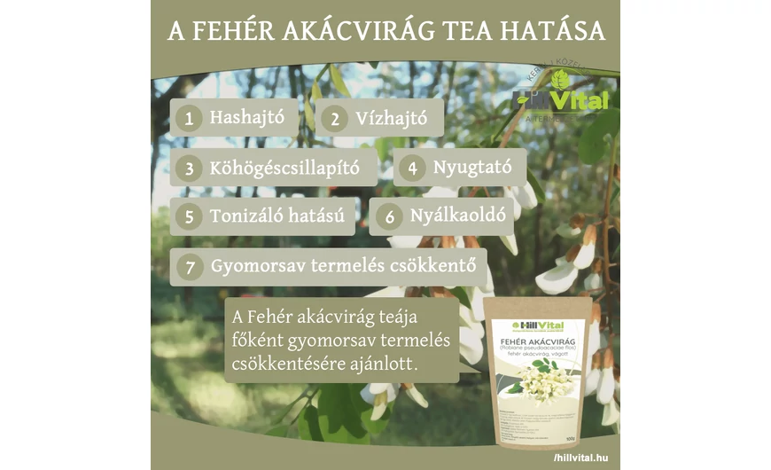 A fehér akácvirág tea képes csökkenteni a gyomorsavat