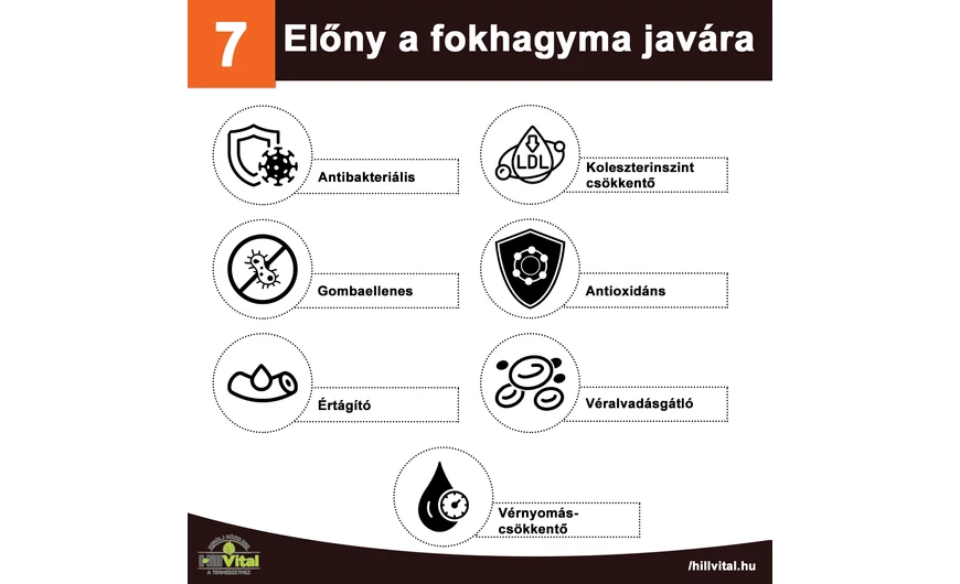 A fokhagyma jótékony hatásai