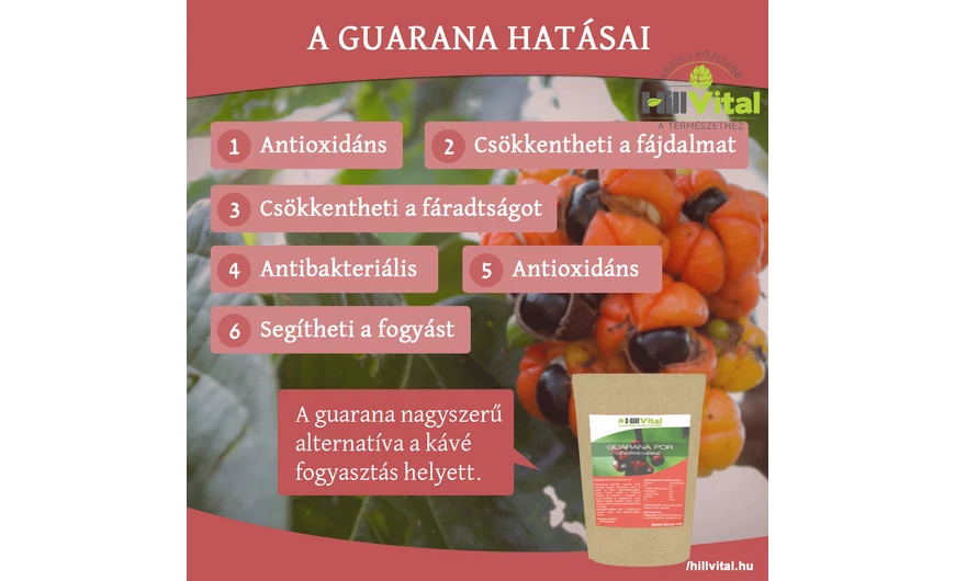 A guarana az egyik legjobb kávépótló