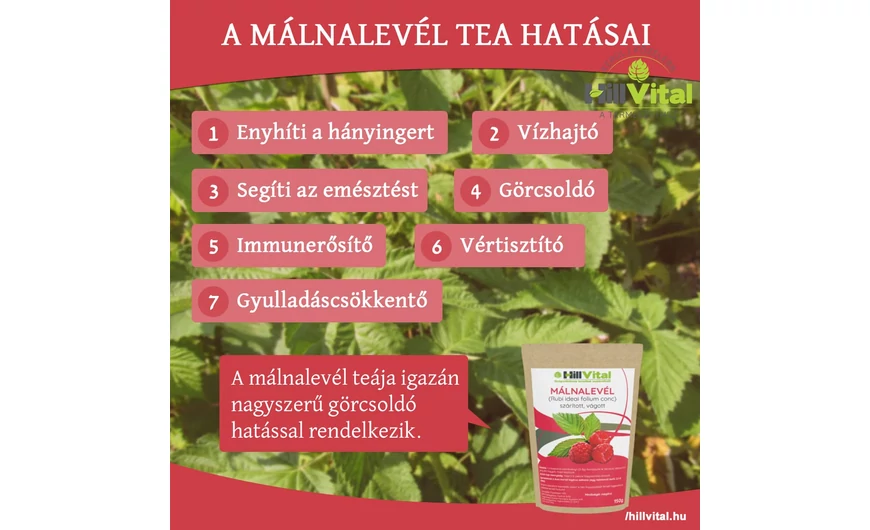 A málnalevél tea 7 nagyszerű hatása