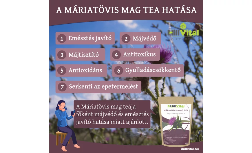 A máriatövis mag tea csodálatos hatásai 