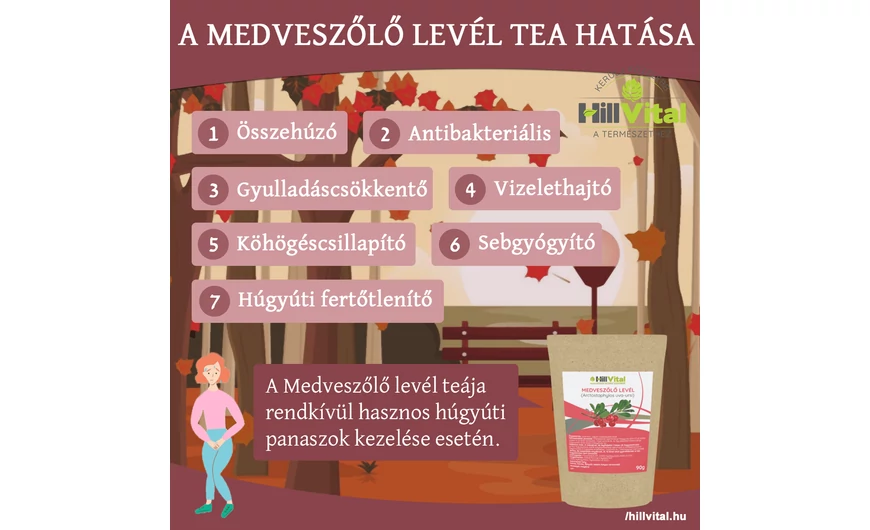 Medveszőlő levél tea hatása
