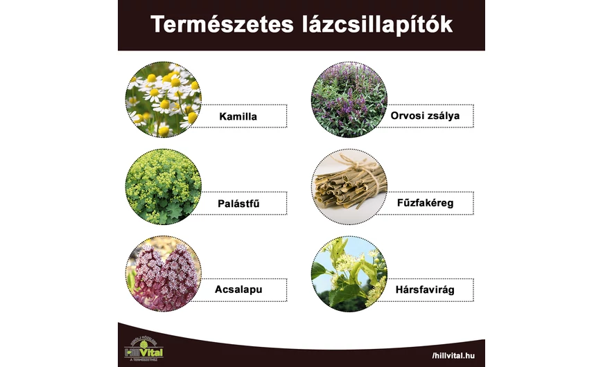 Természetes lázcsillapítók