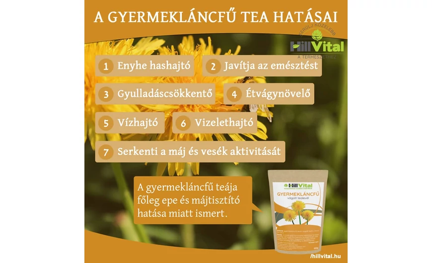 A gyermekláncfű tea nagyszerű májtisztító