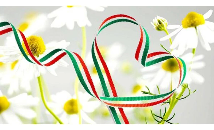 Az alföldi kamilla mint hungarikum