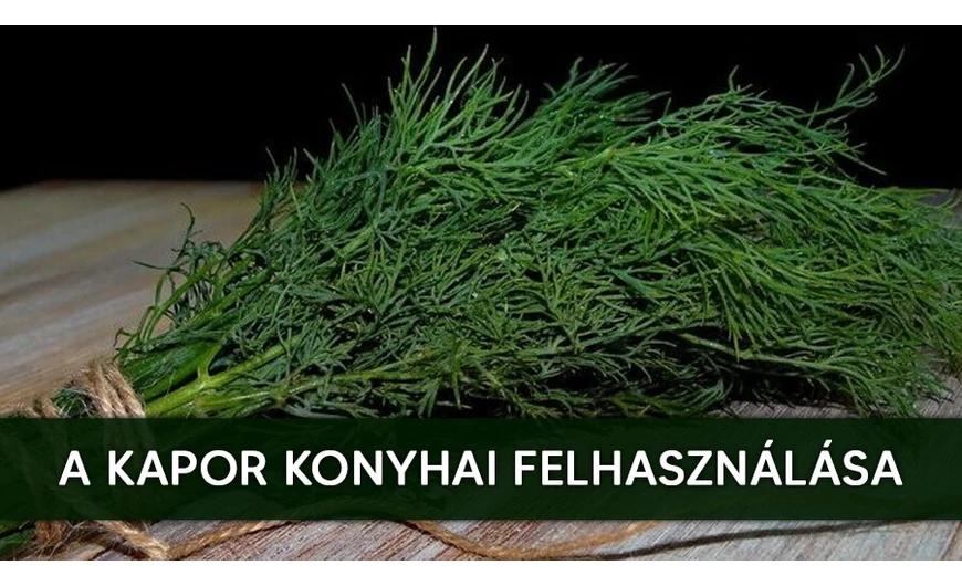 A kapor konyhai felhasználása