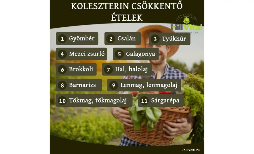 Nagyszerű koleszterinszint csökkentő ételek