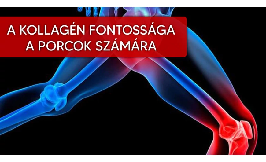 A kollagén szerepe a csontok és az ízületek egészségében