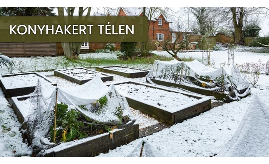 Konyhakert télen? Lehetséges!