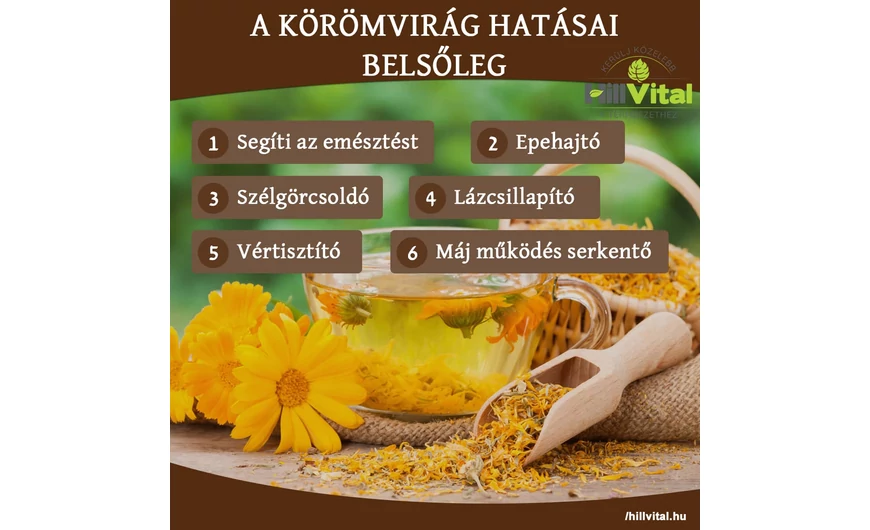 A körömvirág hatásai belsőleg