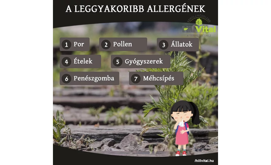 A leggyakoribb allergének