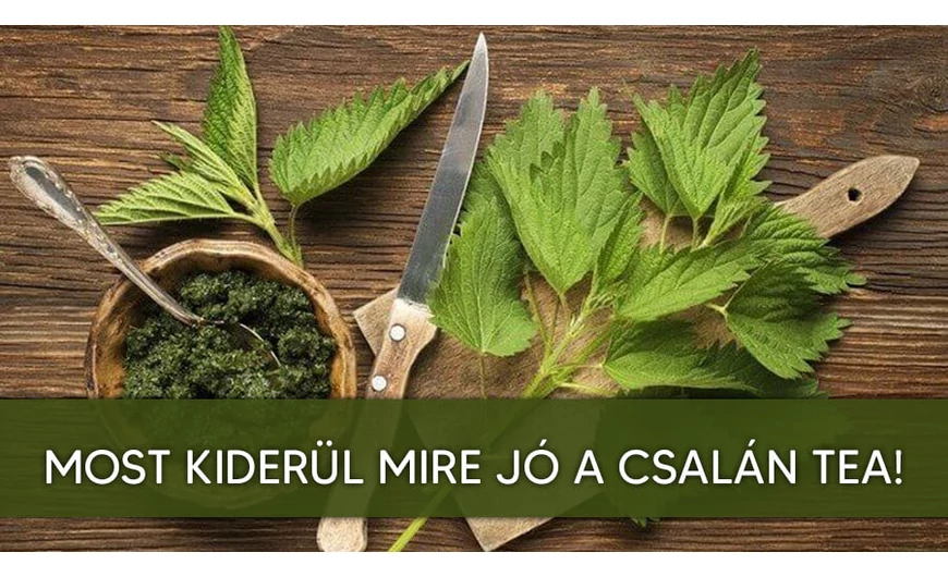 Csalán tea mire jó
