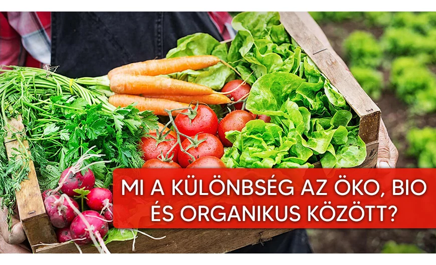 Organikus, bio, öko. Mégis mi a különbség?