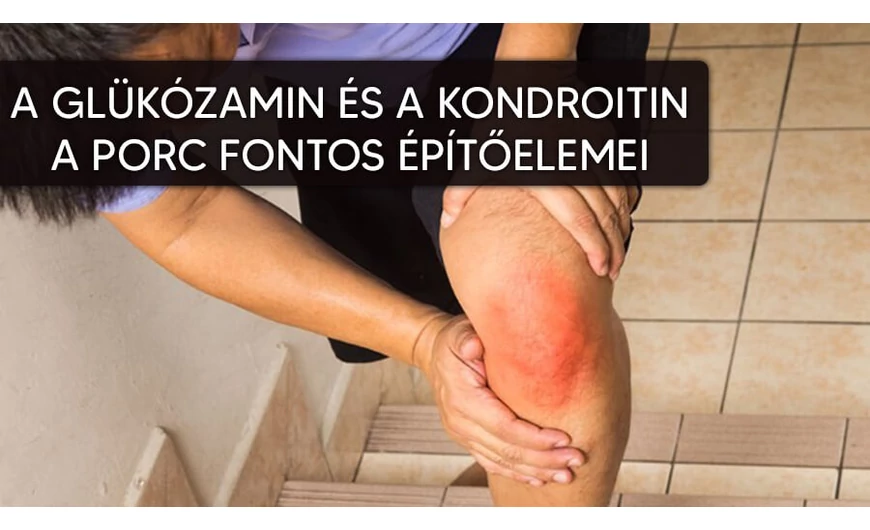 A glükózamin és a kondroitin a porc legfontosabb epítőelemei