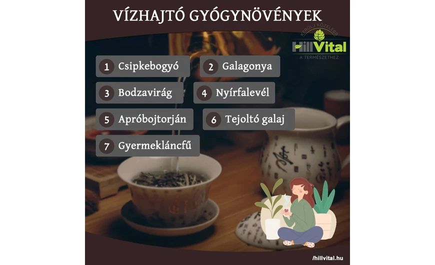 Vízhajtó gyógynövények