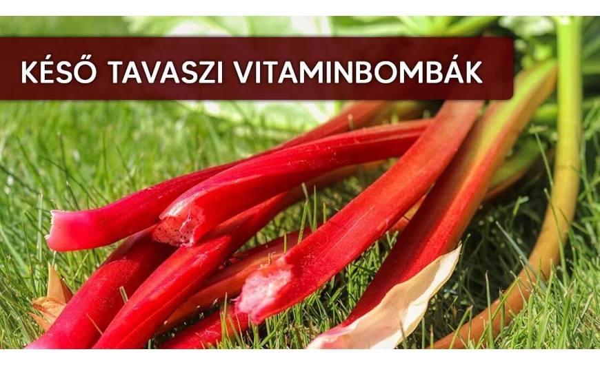 A késő tavasz első nagy vitaminforrásai