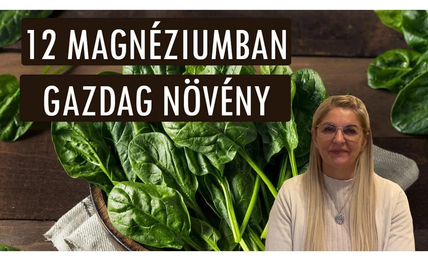 12 magnéziumban gazdag növény, amit otthon is termeszthetsz