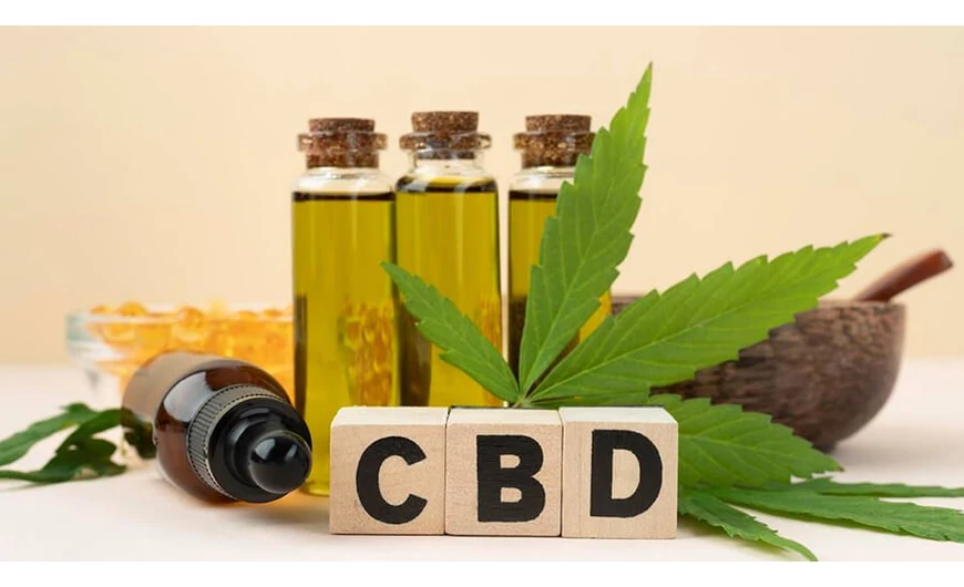Minden fontos dolog, amit a kannabisz olajról tudni kell!
