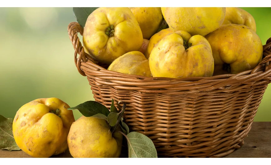 A birsalma az ősz egyik legjobb vitaminforrása