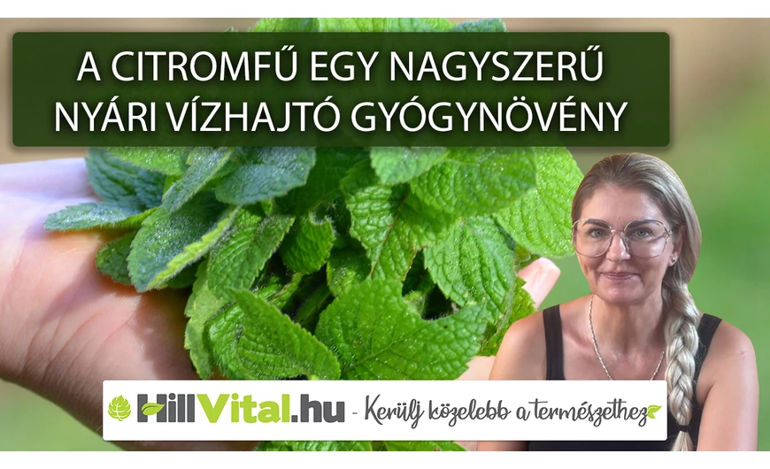 A citromfű egy nagyszerű nyári vízhajtó gyógynövény