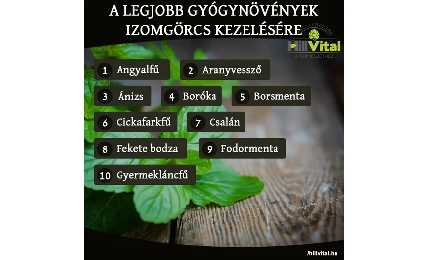 A legjobb gyógynövények izomgörcs kezelésére