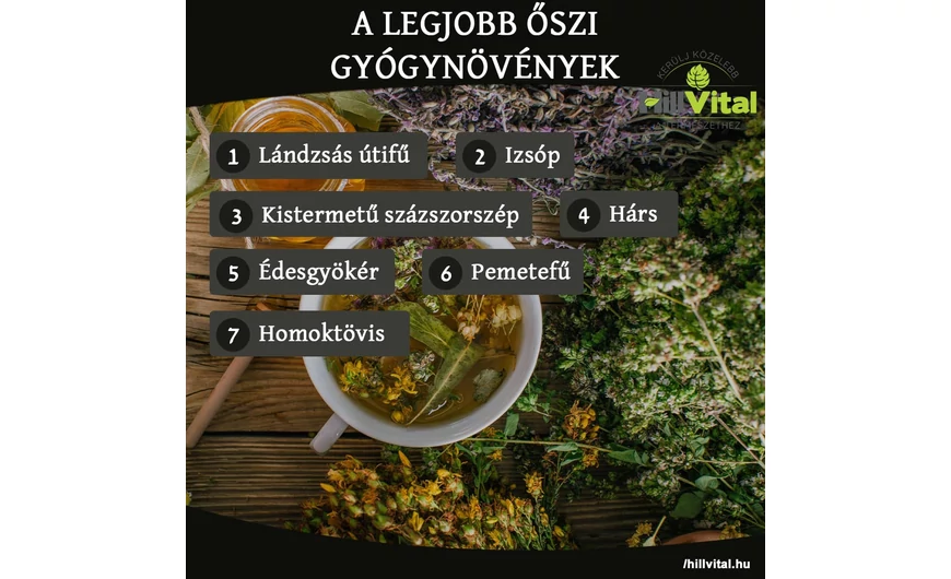 A legjobb őszi gyógynövények