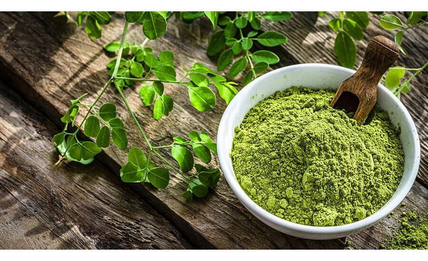 A moringa por szakszerű adagolása és élettani hatásai