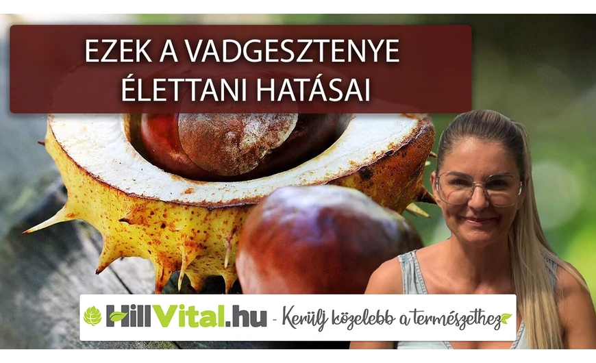 Ezek a vadgesztenye élettani hatásai!