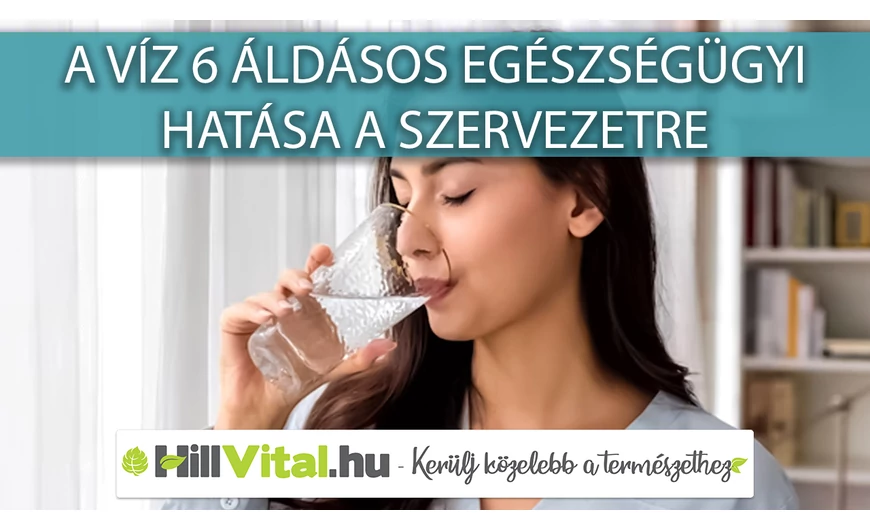 A víz 6 áldásos egészségügyi hatása a szervezetre
