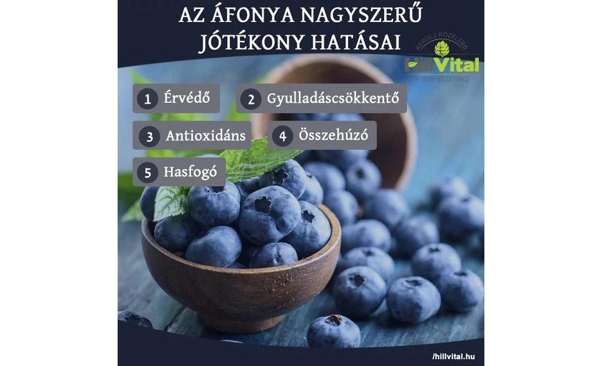 Az áfonya csodálatos hatásai